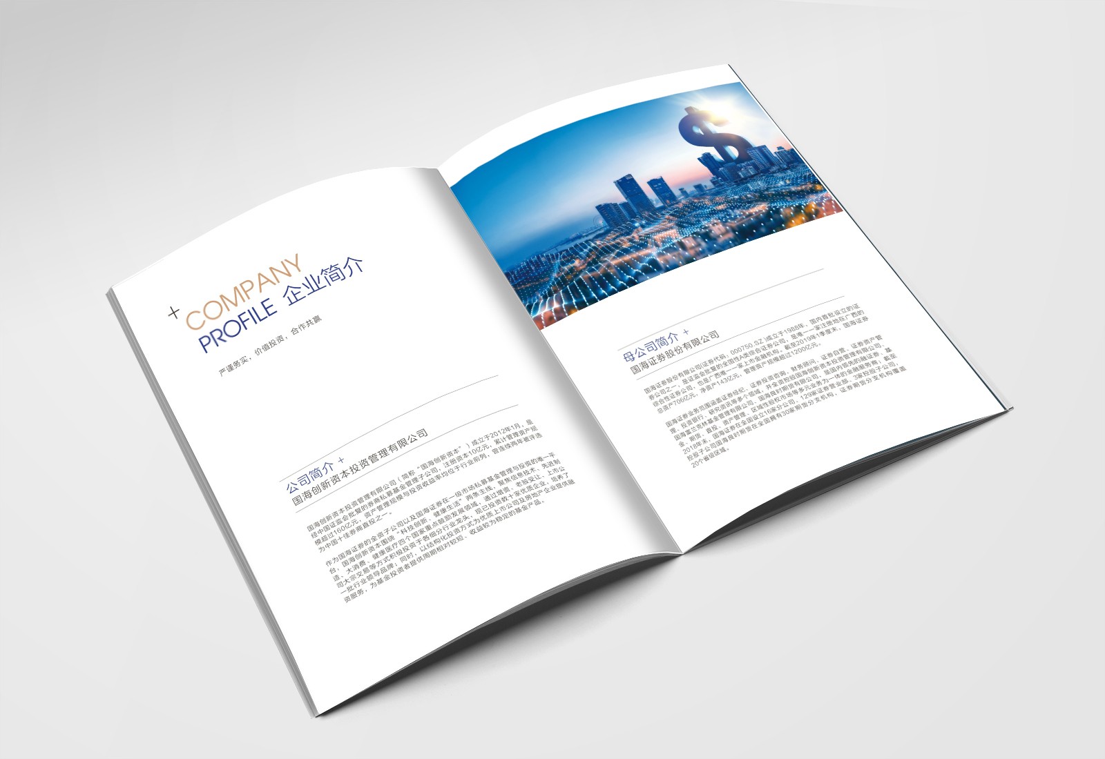 畫冊設計，彩頁設計