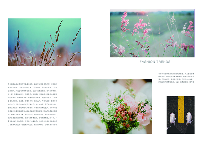 企業畫冊商務風也可以如此清新